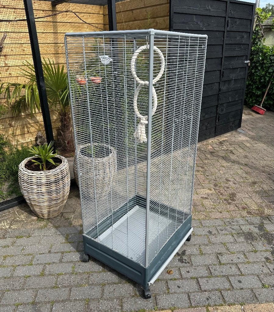 Kamervoliere met toebehoren, Dieren en Toebehoren, Vogels | Hokken en Kooien, Ophalen, Zo goed als nieuw, Metaal, Vogelkooi