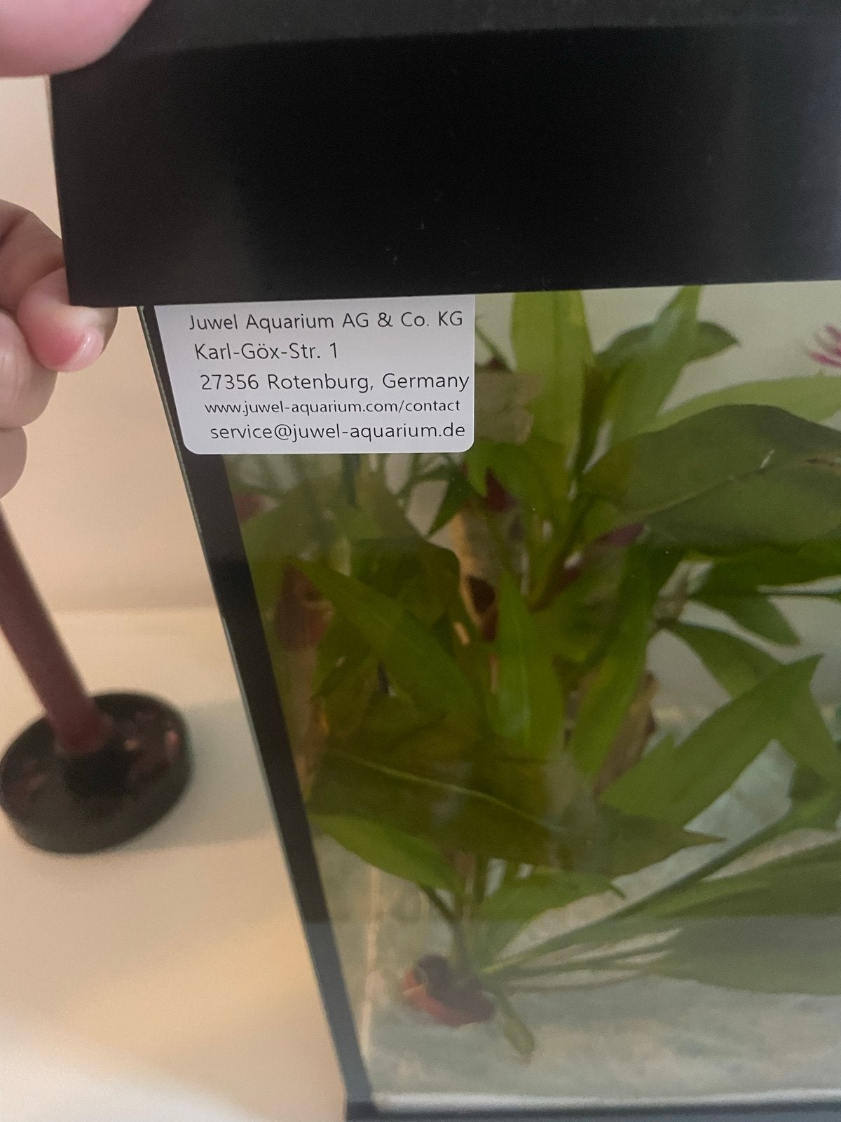 Mooie aquarium, Ophalen of Verzenden, Zo goed als nieuw, Leeg aquarium