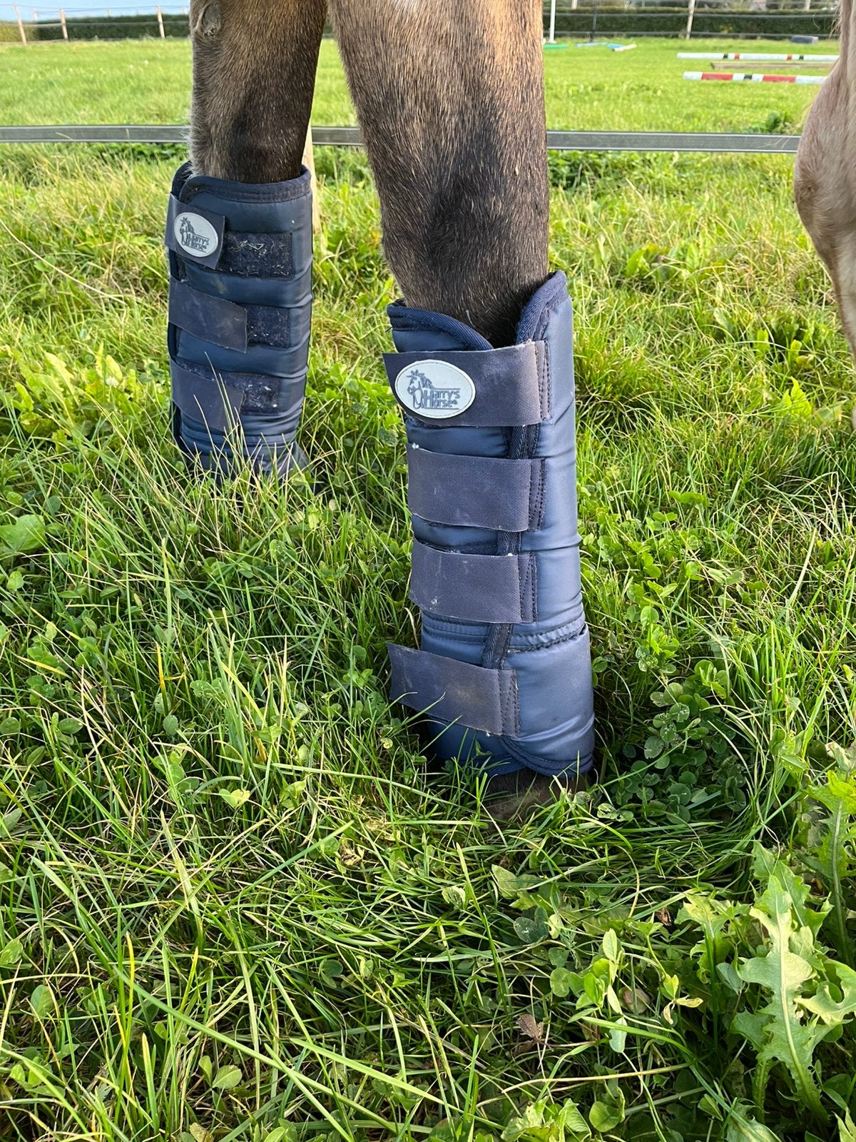 Verschillende paarden spullen te koop, Dieren en Toebehoren, Ophalen, Zo goed als nieuw, Transport