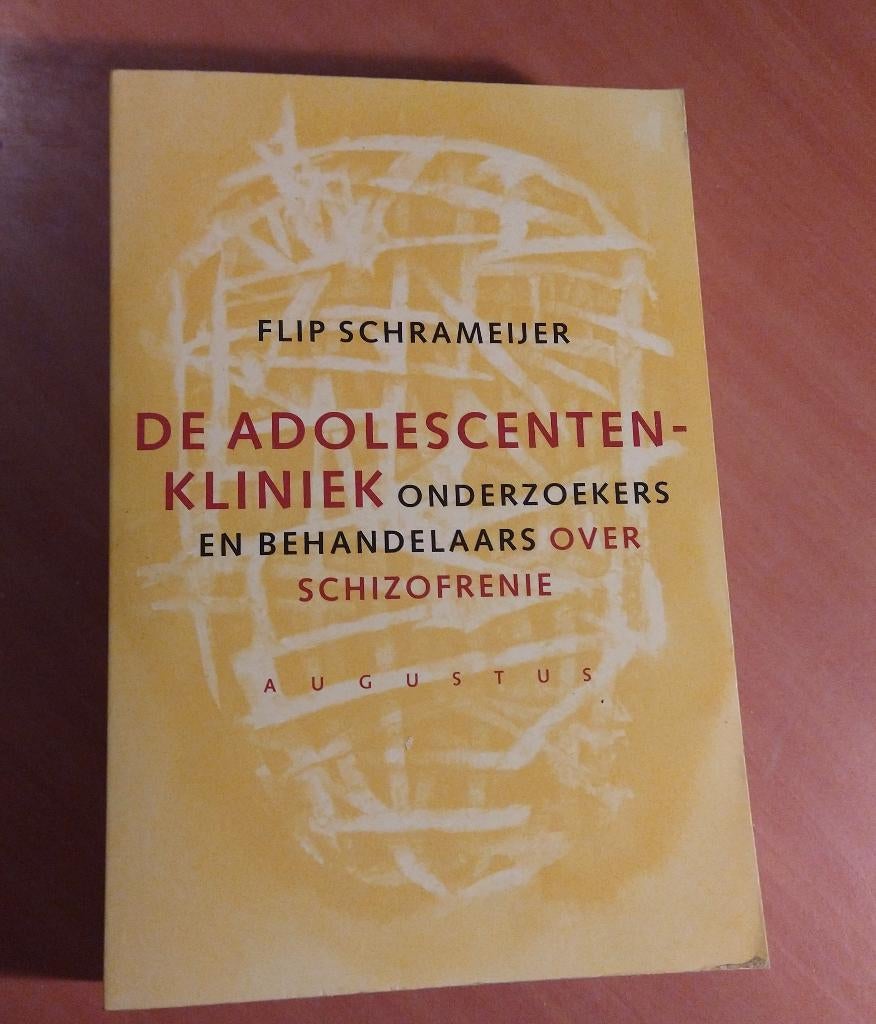 Flip Schrameijer - De adolescentenfabriek, Ophalen of Verzenden, Gelezen