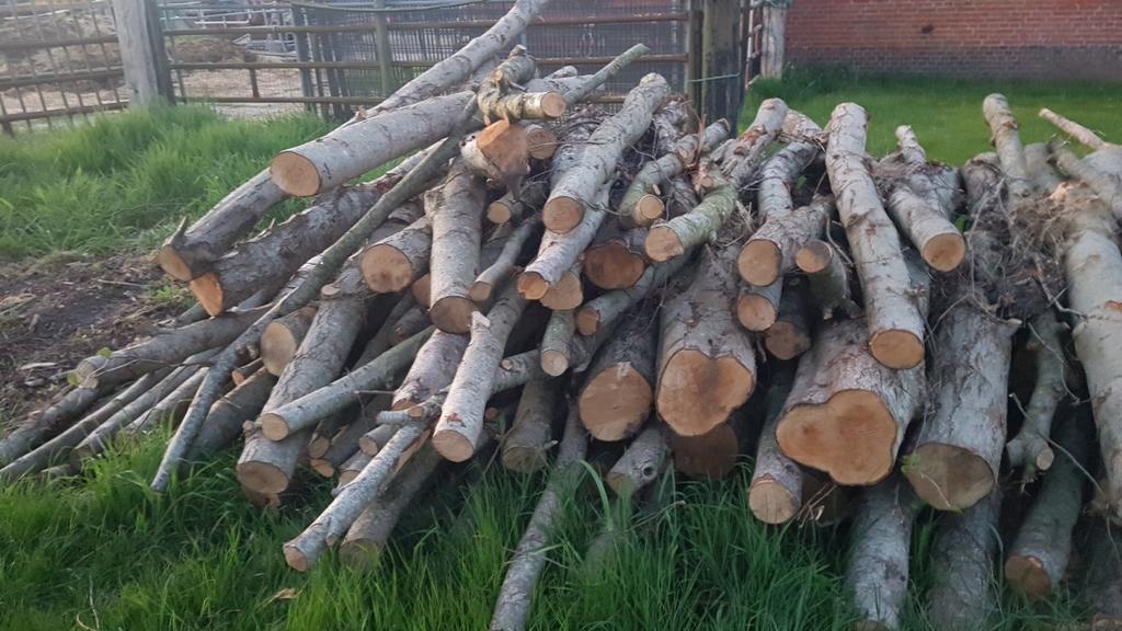 Openhaardhout, Tuin en Terras, Haardhout, 3 tot 6 m³, Ophalen, Elzenhout, Stammen