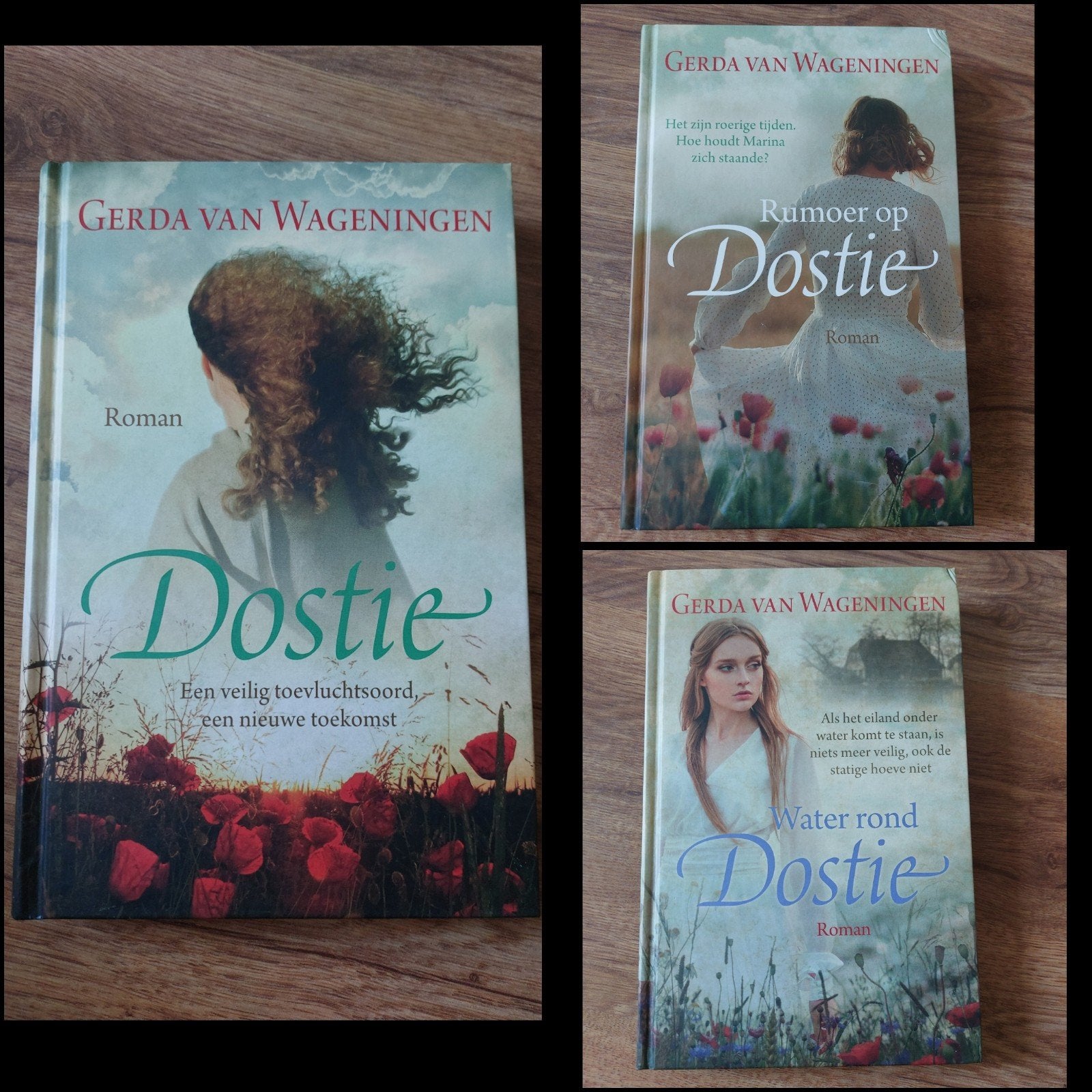 Romans van Gerda van Wageningen • Schouwen-trilogie, Ophalen of Verzenden, Zo goed als nieuw, Gerda van Wageningen