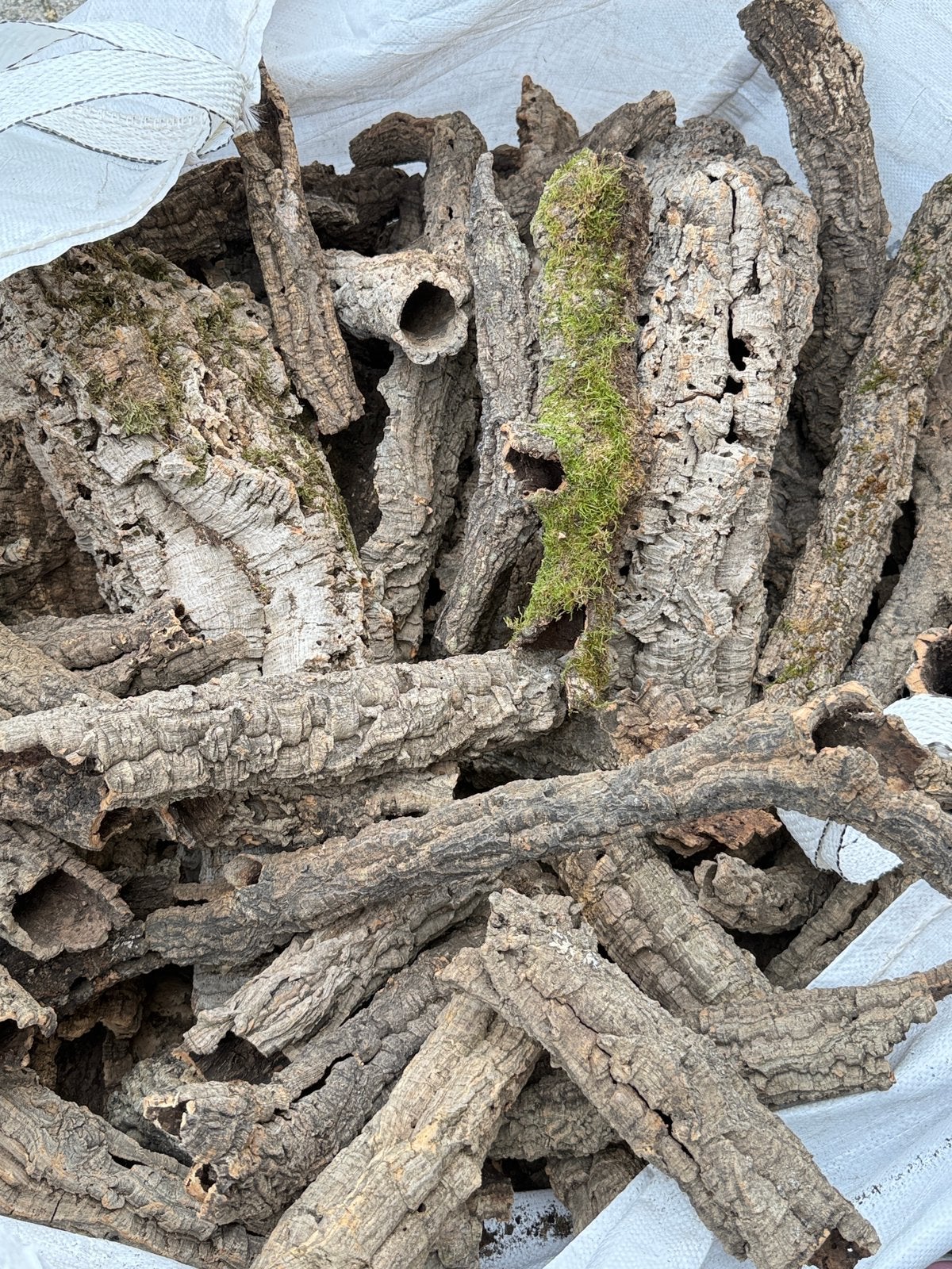 Cork Tunels, Ophalen of Verzenden