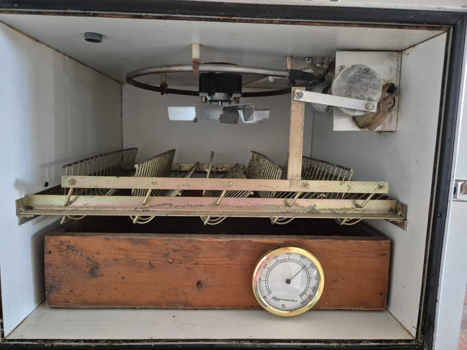 Broed serves, broed machine, kuikens, Geslacht onbekend