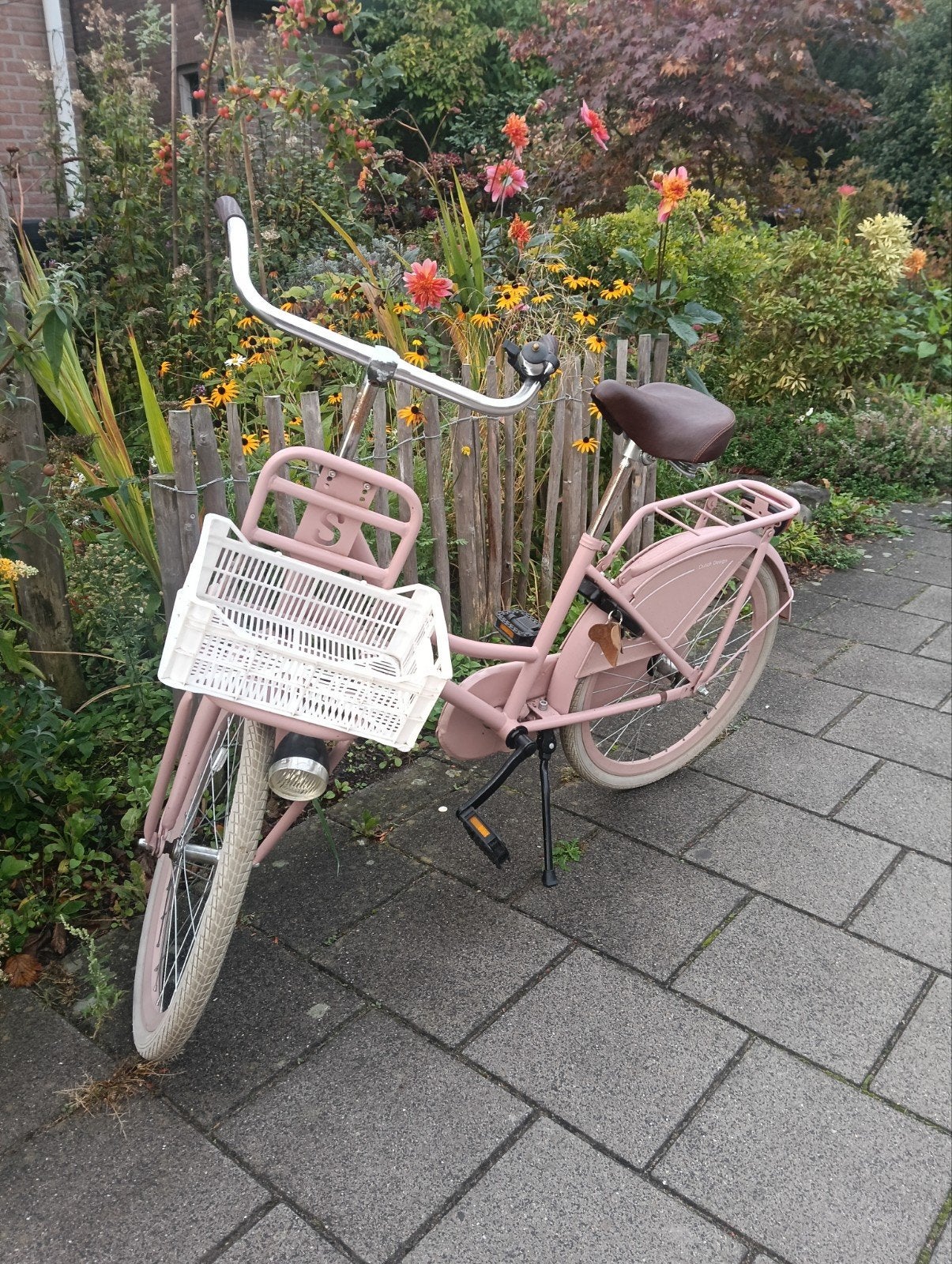 Meisjes transportfiets 22 inch - Roze, Fietsen en Brommers, Ophalen, Terugtraprem, 22 inch, Gebruikt
