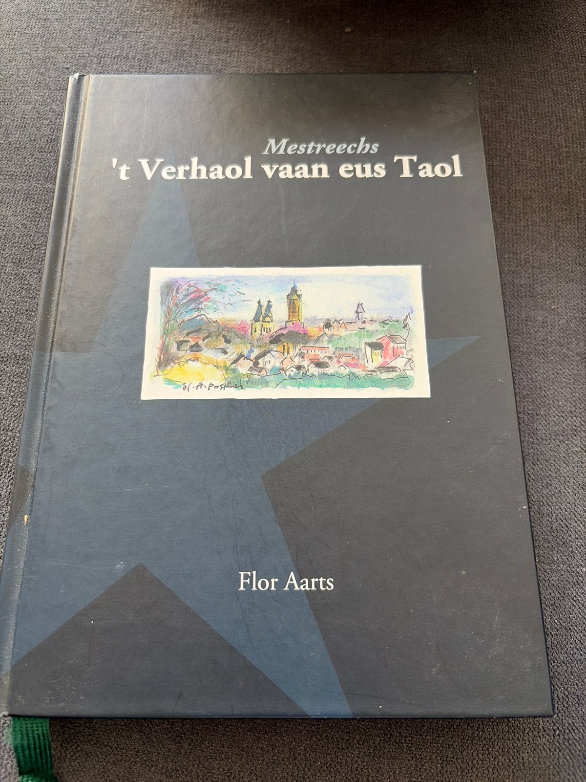 Mestreechs 't Verhaol vaan eus Taol - Flor Aarts, Ophalen of Verzenden, Zo goed als nieuw, Non-fictie