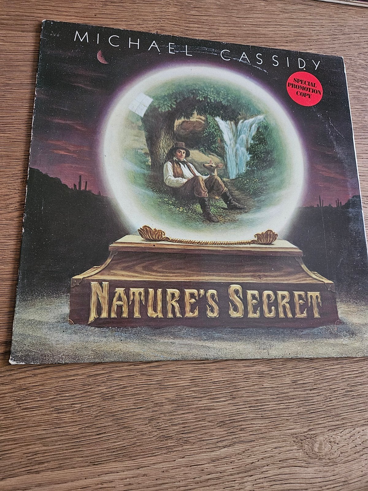 Michael Cassidy - Nature's Secret (Special Promotion Copy), LP, Gebruikt, Originele persing, Ophalen of Verzenden
