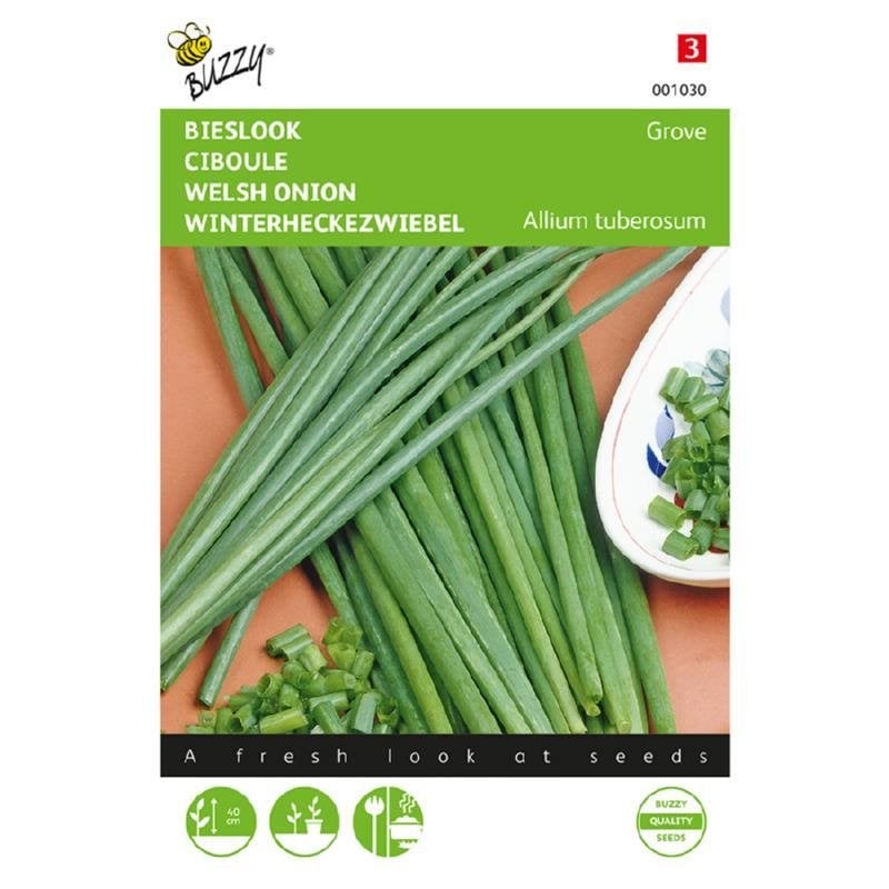 Buzzy Seeds Bieslook Grove kruidenzaden - nieuw, Ophalen of Verzenden, Voorjaar, Volle zon, Zaad