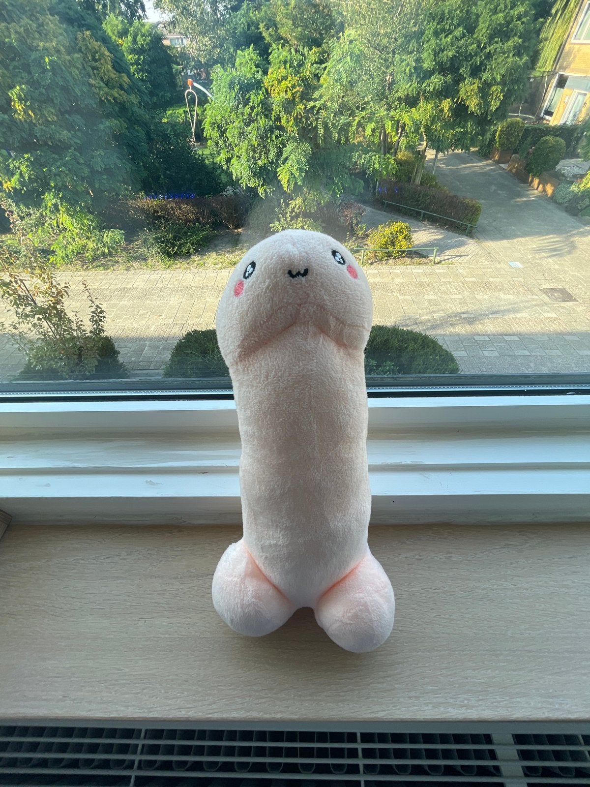 Grappige Kermis Knuffel - Roze Penis Vorm, Ophalen of Verzenden, Nieuw, Roze, Overige typen