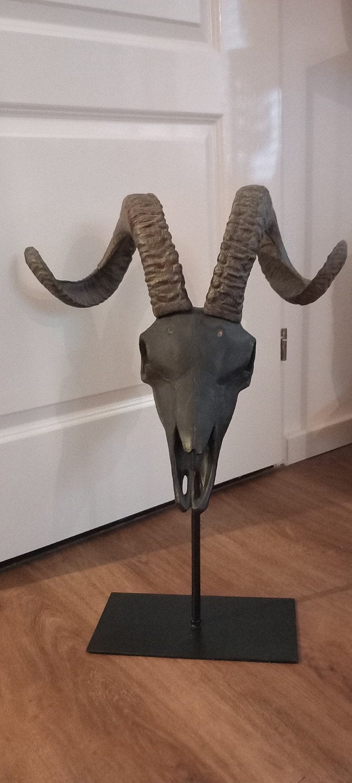 Grote 50cm Ram Skull Beeld♥️SALE VERKOOP♥️, Ophalen of Verzenden, Nieuw, Dier