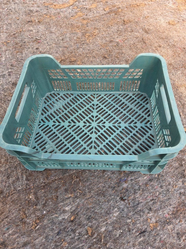 plastic krat, stapelkrat, kist, Gebruikt, 40 tot 60 cm, Minder dan 35 cm, Ophalen of Verzenden