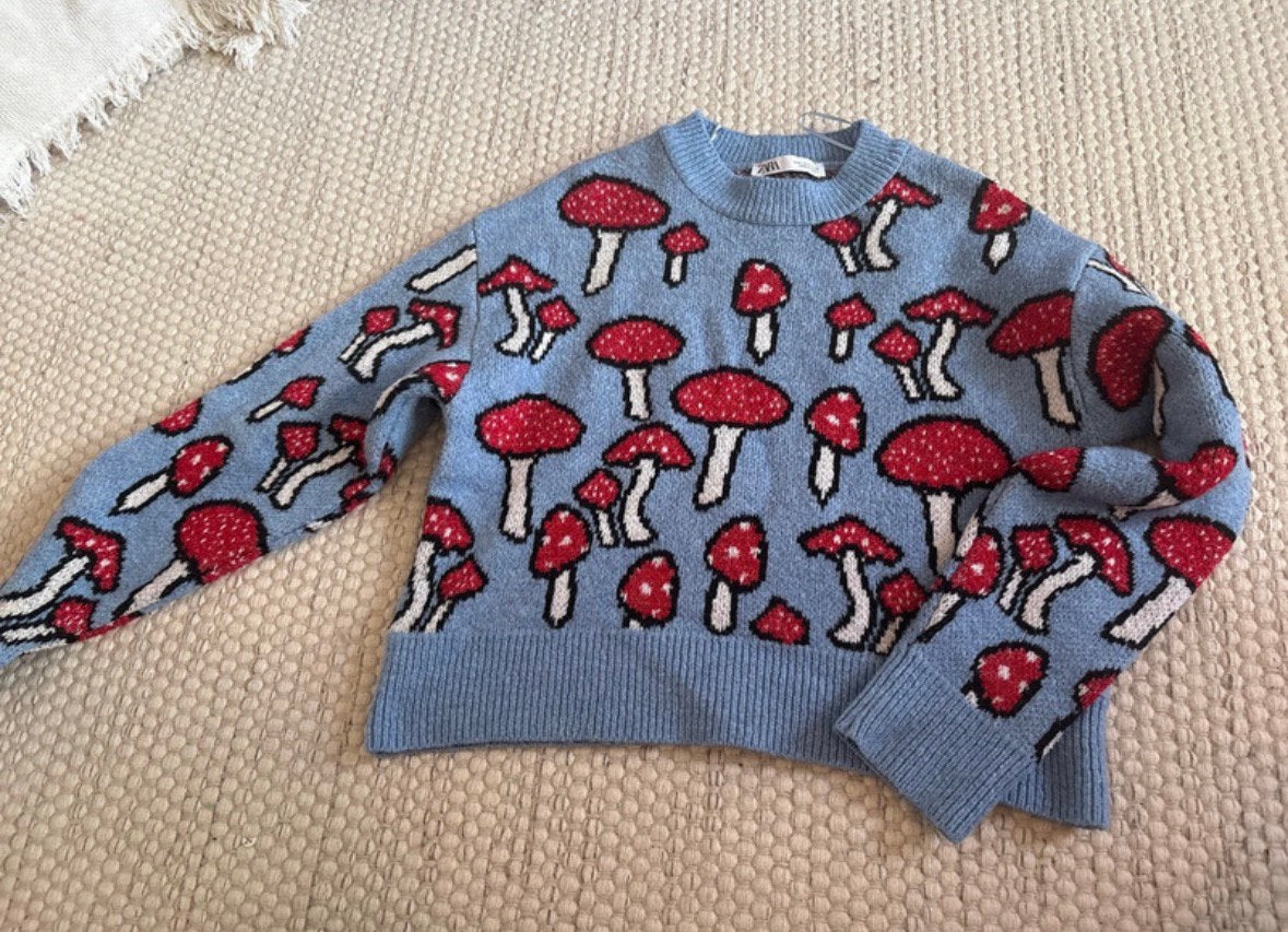 Zara mushroom trui maat S, Kleding | Dames, Ophalen of Verzenden, Zo goed als nieuw