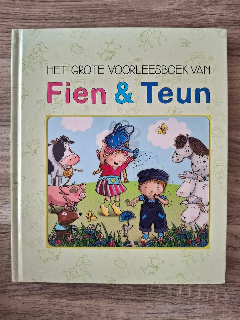 Het Grote Voorleesboek van Fien & Teun, Ophalen of Verzenden, Zo goed als nieuw, 2 tot 3 jaar