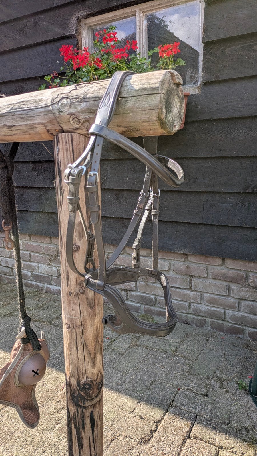 Nieuw! Harry's Horse Hoofdstel Anatomic Bruin Cob, Ophalen of Verzenden, Nieuw