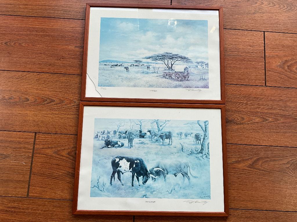 Aquarel zuid Afrika koeien, Antiek en Kunst, Kunst | Etsen en Gravures, Ophalen of Verzenden