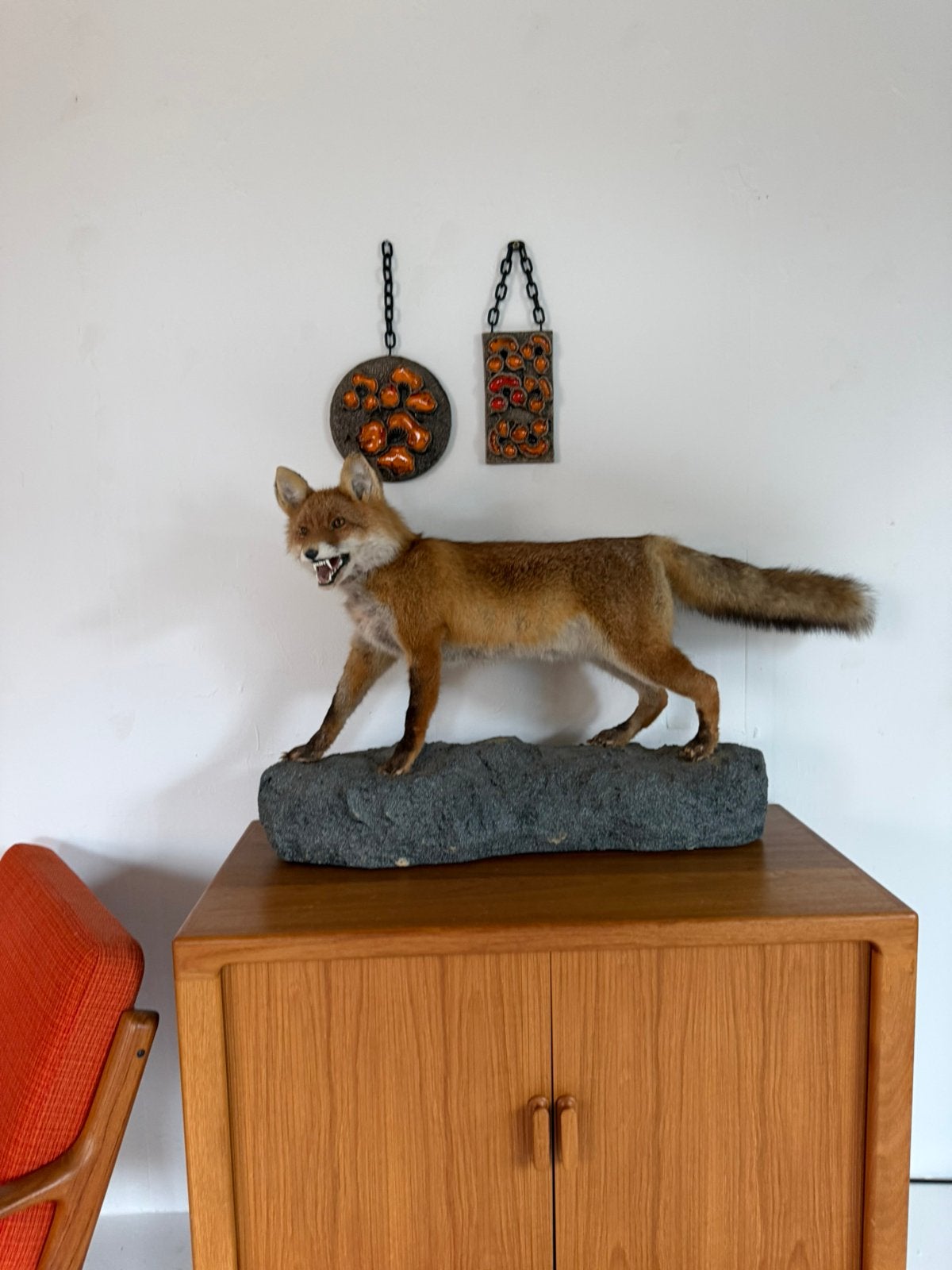 Taxidermie van een opgezette vos ‘00, Ophalen of Verzenden, Zo goed als nieuw, Wild dier, Opgezet dier