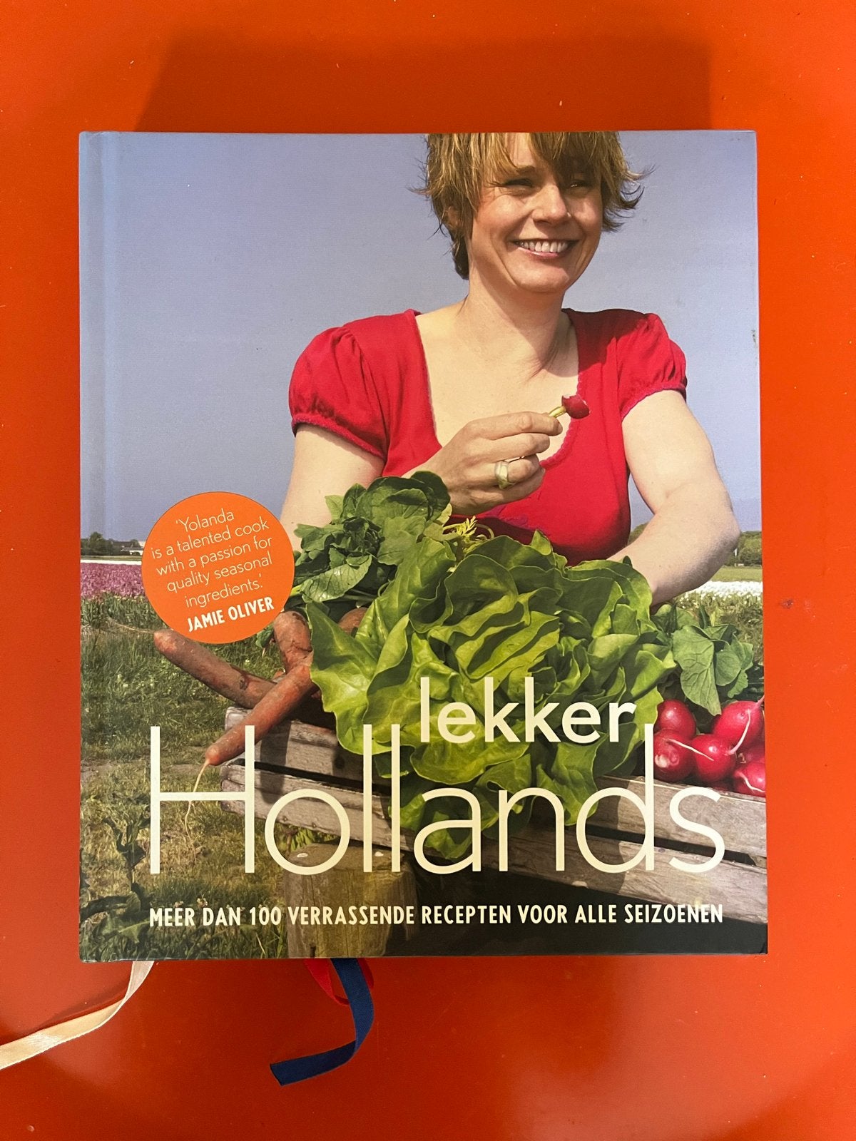 Lekker Hollands kookboek - Yolanda van der Jagt, Voorgerechten en Soepen, Ophalen of Verzenden, Zo goed als nieuw, Gezond koken