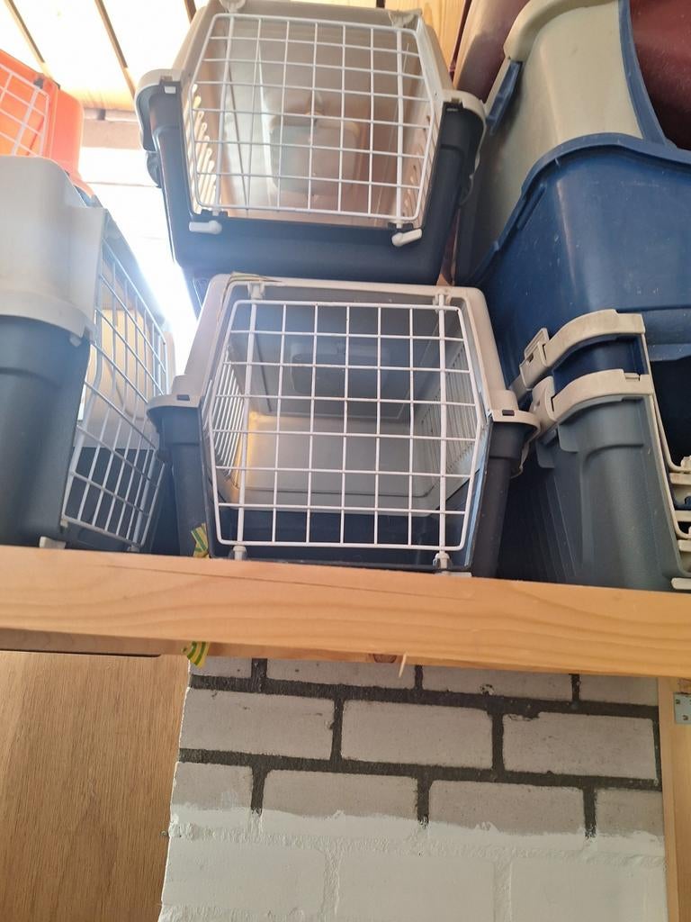 Katten, Ophalen