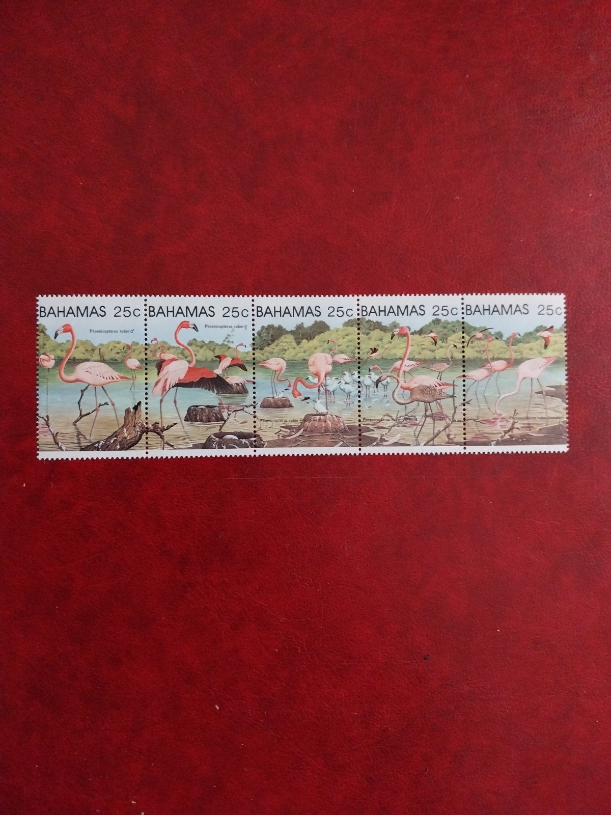 Bahamas 507-511 vogels flamingo 1982 postfris mi 18 eu, Ophalen of Verzenden, Dier of Natuur