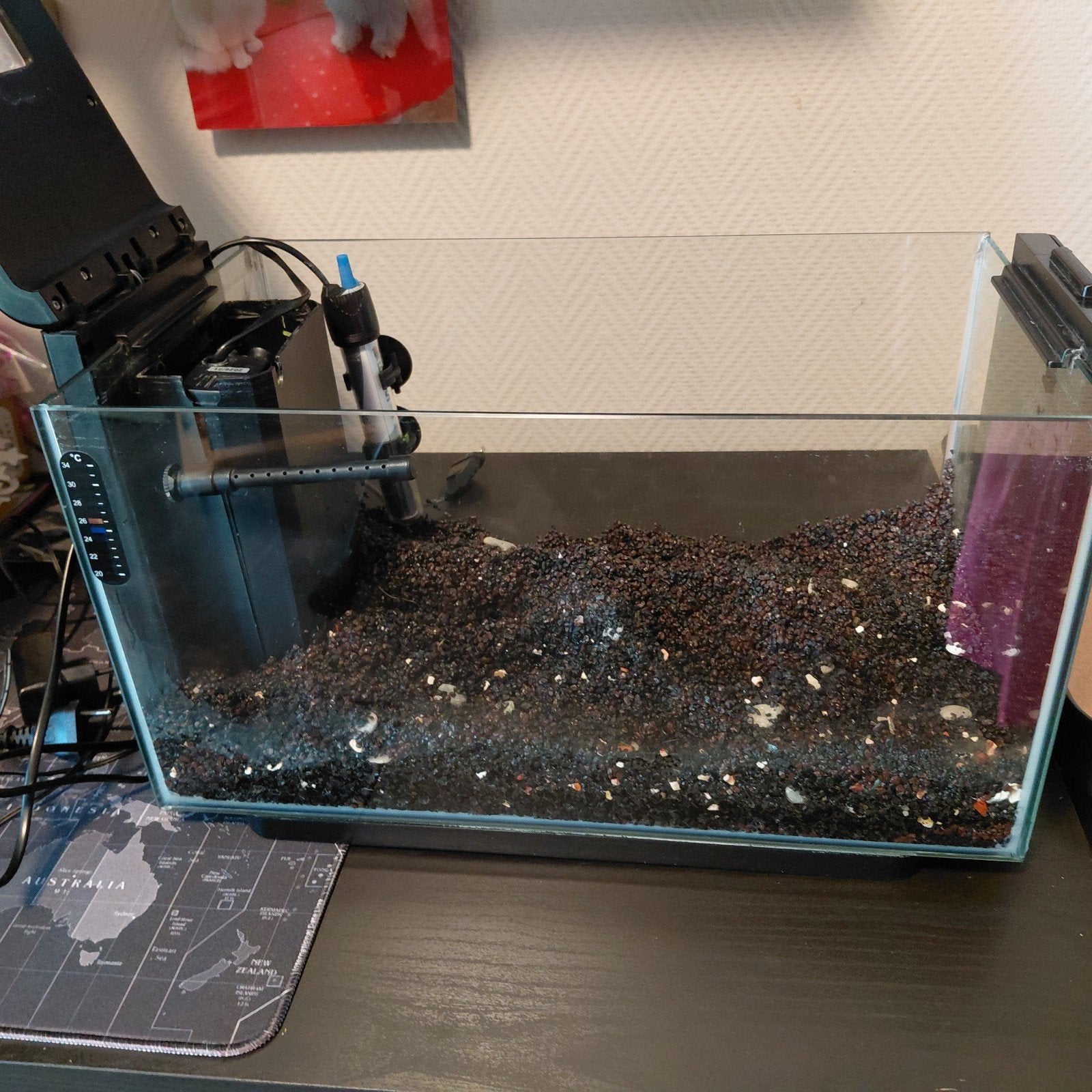 Superfish home 25  (op onzin biedingen geen reactie ), Dieren en Toebehoren, Vissen | Aquaria en Toebehoren, Ophalen, Leeg aquarium