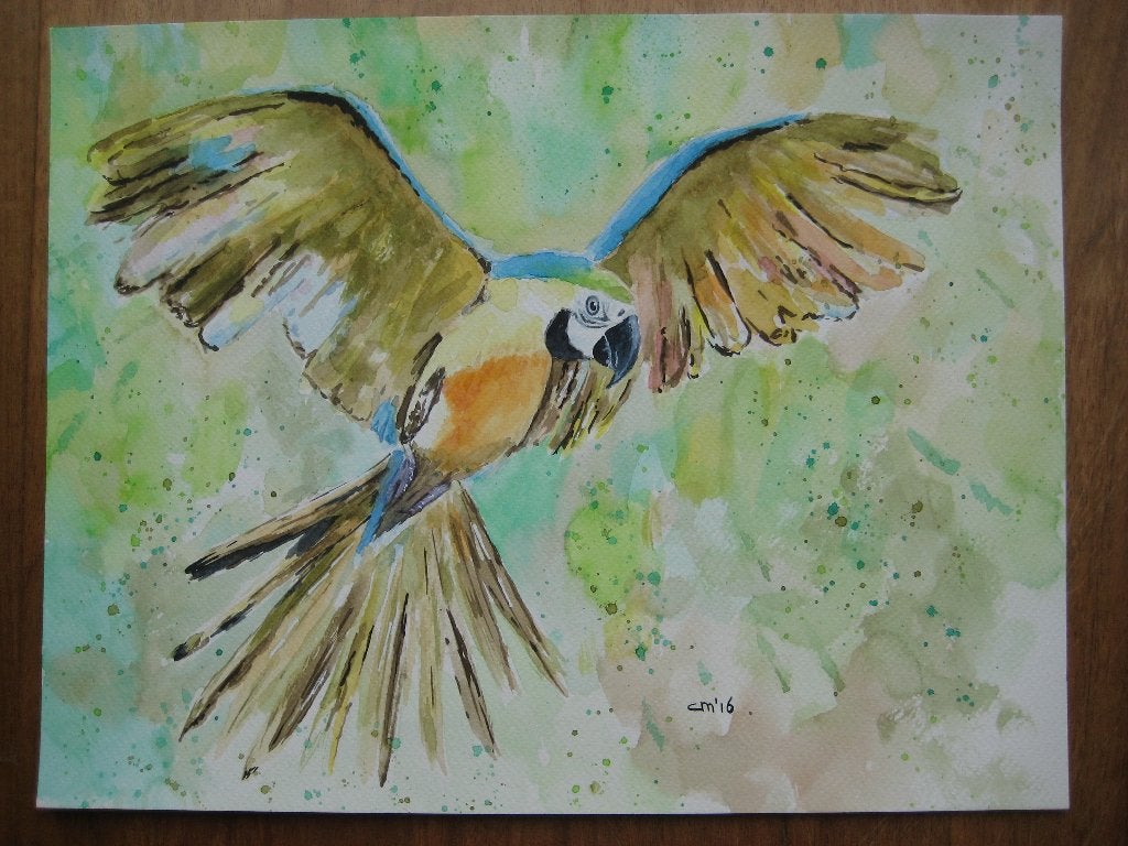 Aquarel Blauwgele ara 35 x 27 cm, Ophalen, Minder dan 50 cm, Oorspronkelijke maker, Nieuw
