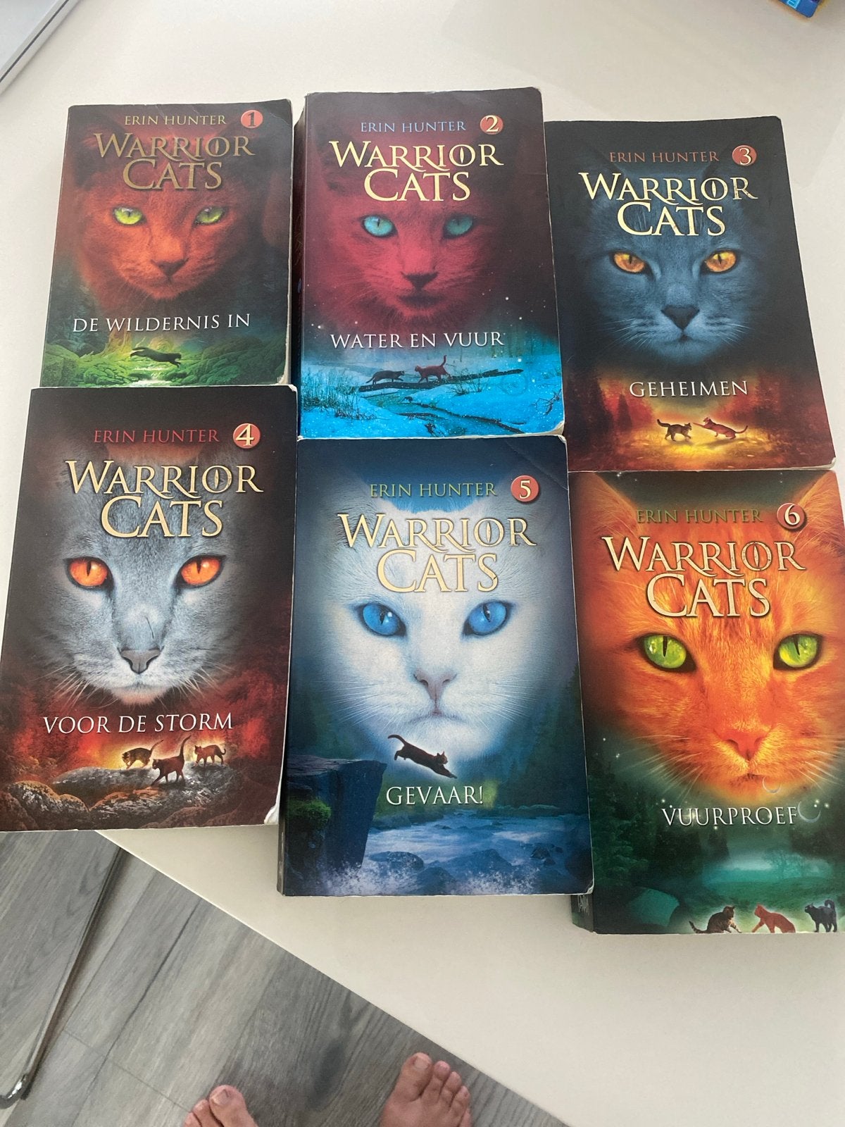 Warrior Cats Boekenreeks (Deel 1-6) - Erin Hunter, Ophalen, Zo goed als nieuw, Fictie