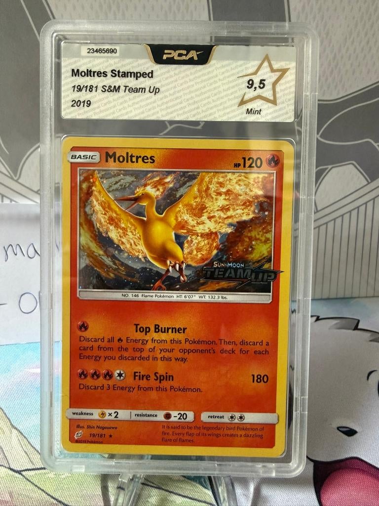 Pokemon TCG Moltres STAMPED 19/181 TEAM UP GRADED 9,5 MINT!, Ophalen of Verzenden, Nieuw, Losse kaart, Foil