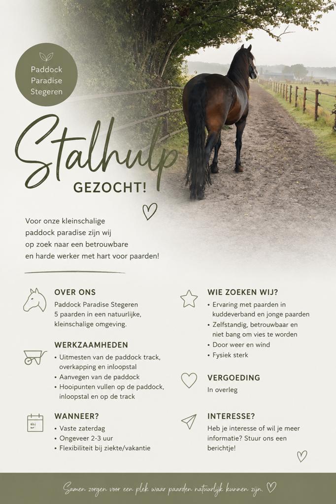 Stalhulp in Stegeren gezocht, Dieren en Toebehoren