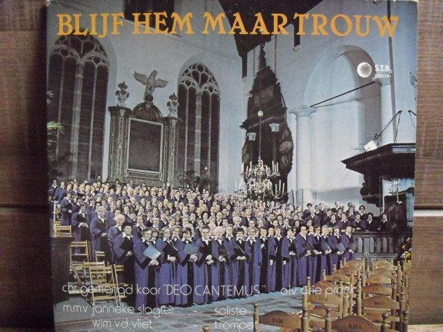 - Chr. Gemengd Koor "Deo Cantemus" - LP, Cd's en Dvd's, LP, Gebruikt, Ophalen of Verzenden, Beschermende buitenhoes