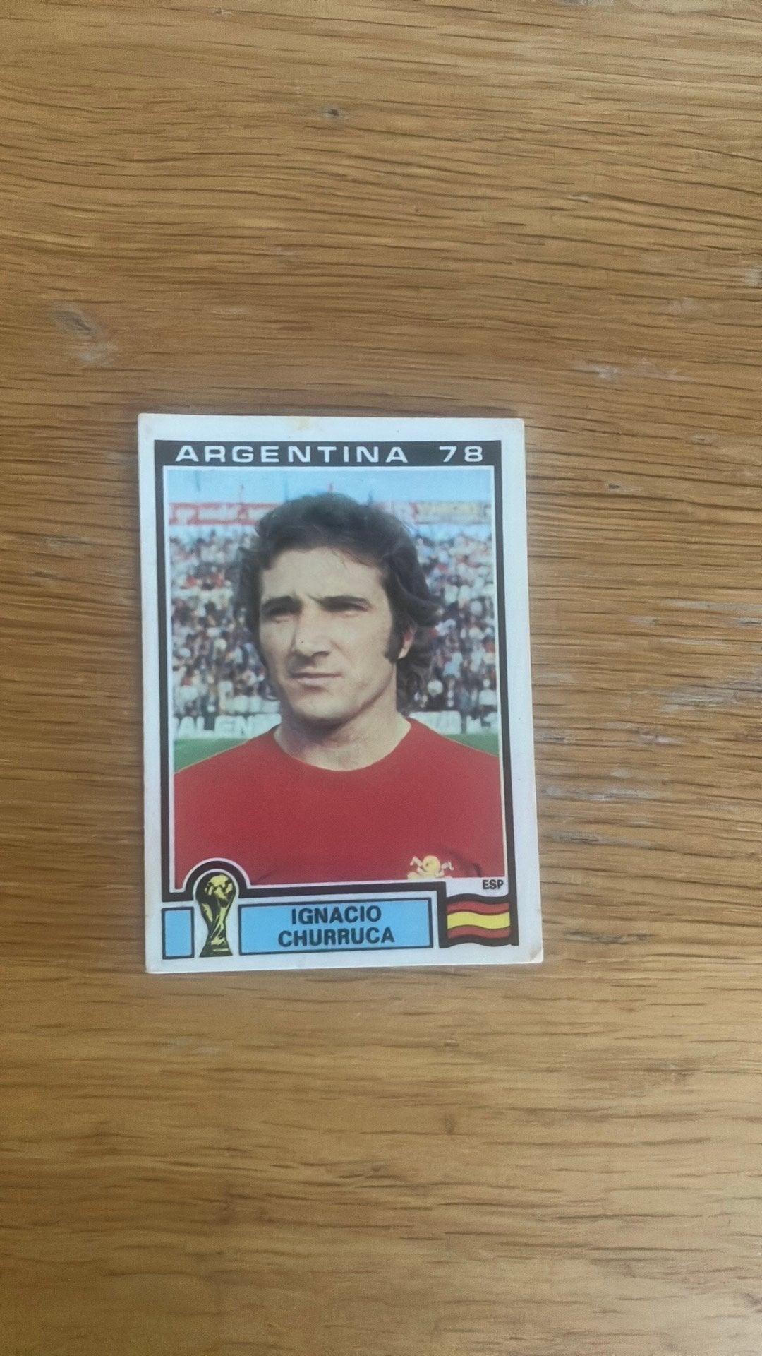 Panini Argentina ‘78, Ophalen of Verzenden, Zo goed als nieuw, Buitenlandse clubs, Poster, Plaatje of Sticker