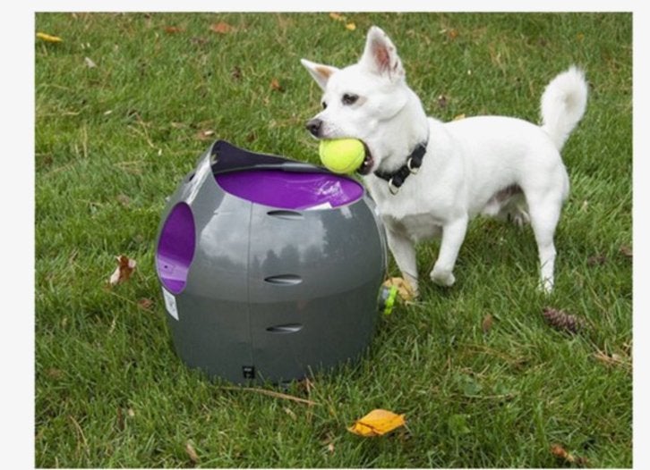 Petsafe automatische ballenwerper voor honden, Ophalen of Verzenden, Zo goed als nieuw