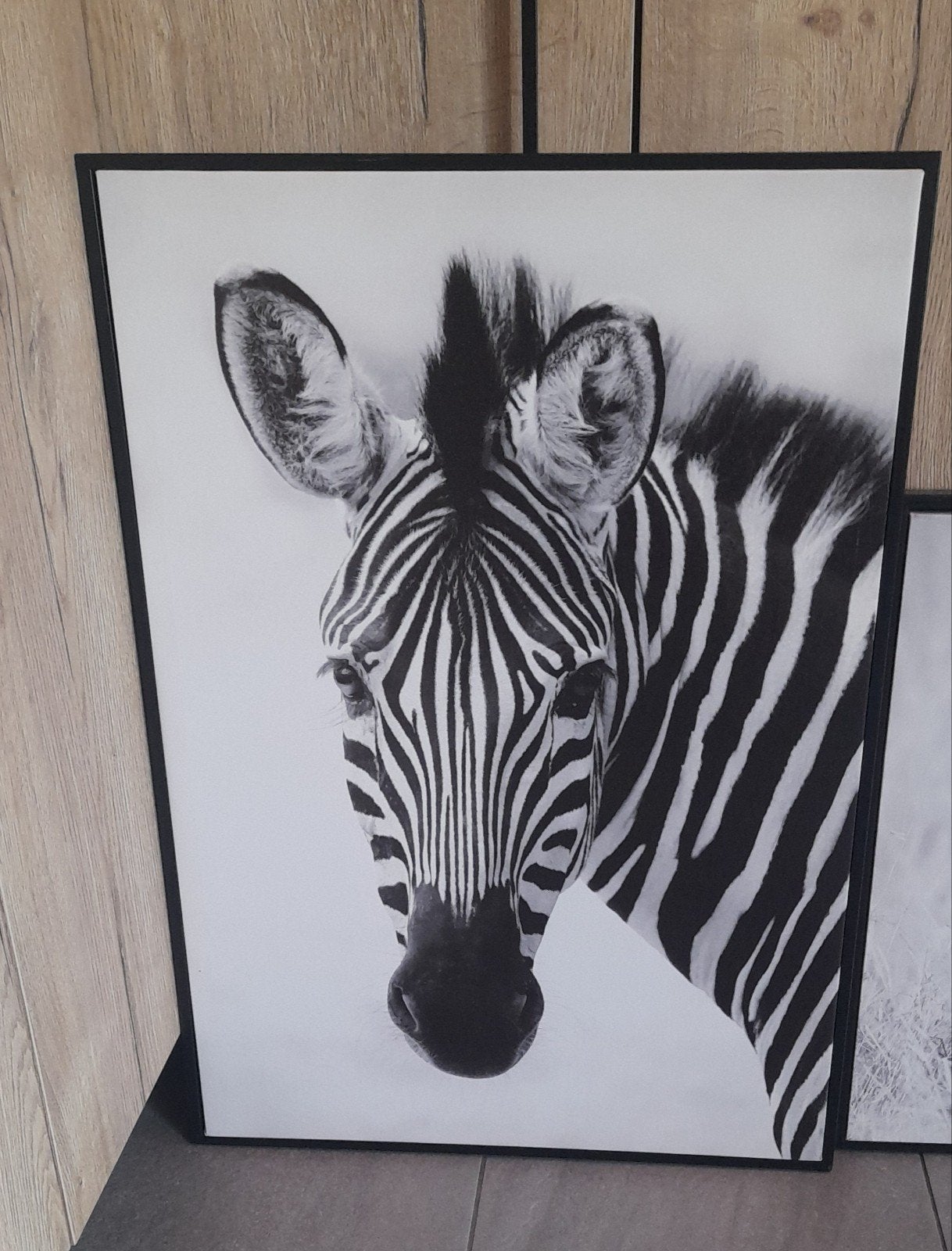 Schilderij zebra, Ophalen, Zo goed als nieuw, 50 tot 75 cm, Foto of Poster