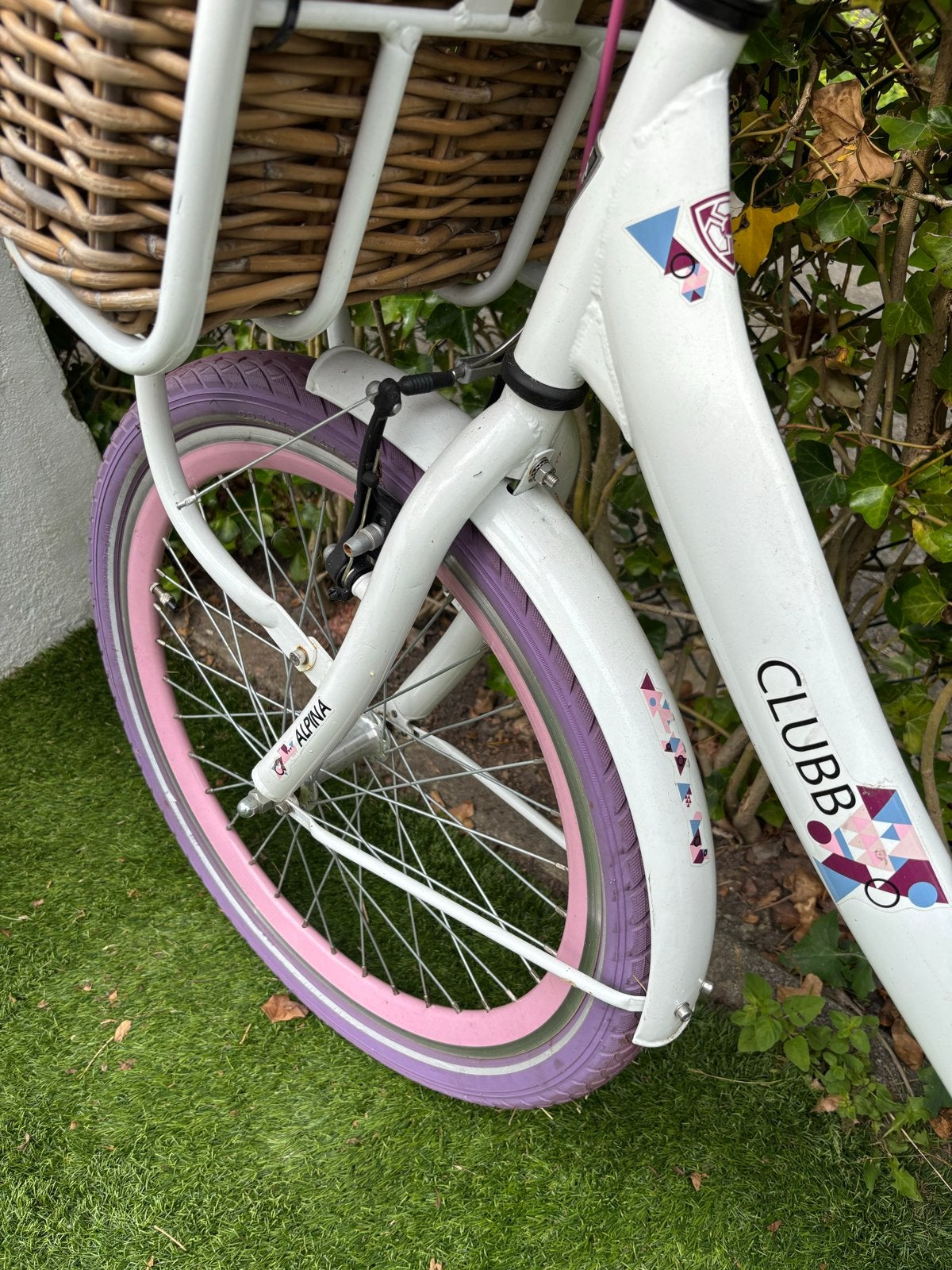 Prachtige Alpina Clubb kinderfiets 22 inch, Ophalen, Gebruikt, Terugtraprem, 22 inch