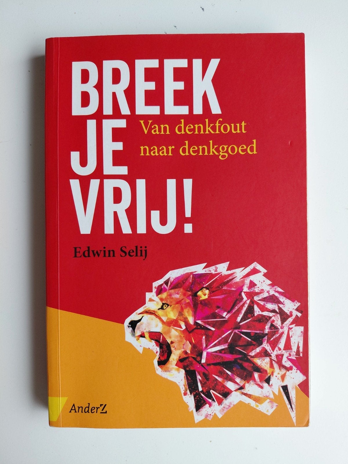 Edwin Selij - Breek je vrij!, Ophalen of Verzenden, Zo goed als nieuw, Edwin Selij