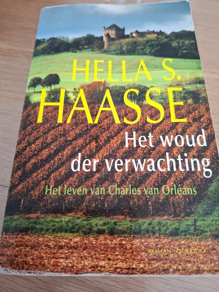 Het Woud der Verwachting - Hella S. Haasse, Ophalen of Verzenden, Gelezen, Hella S. Haasse