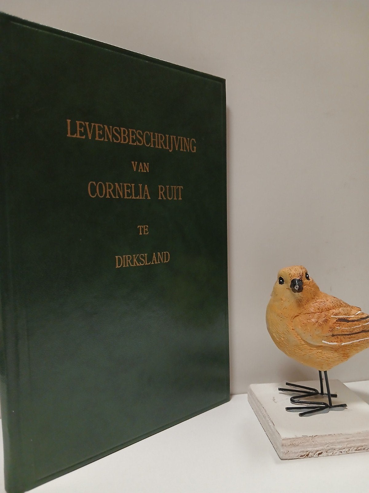 Ruit, C.; Levensbeschrijving van Cornelia Ruit te Dirksland, Ophalen of Verzenden, Gelezen, Christendom | Protestants