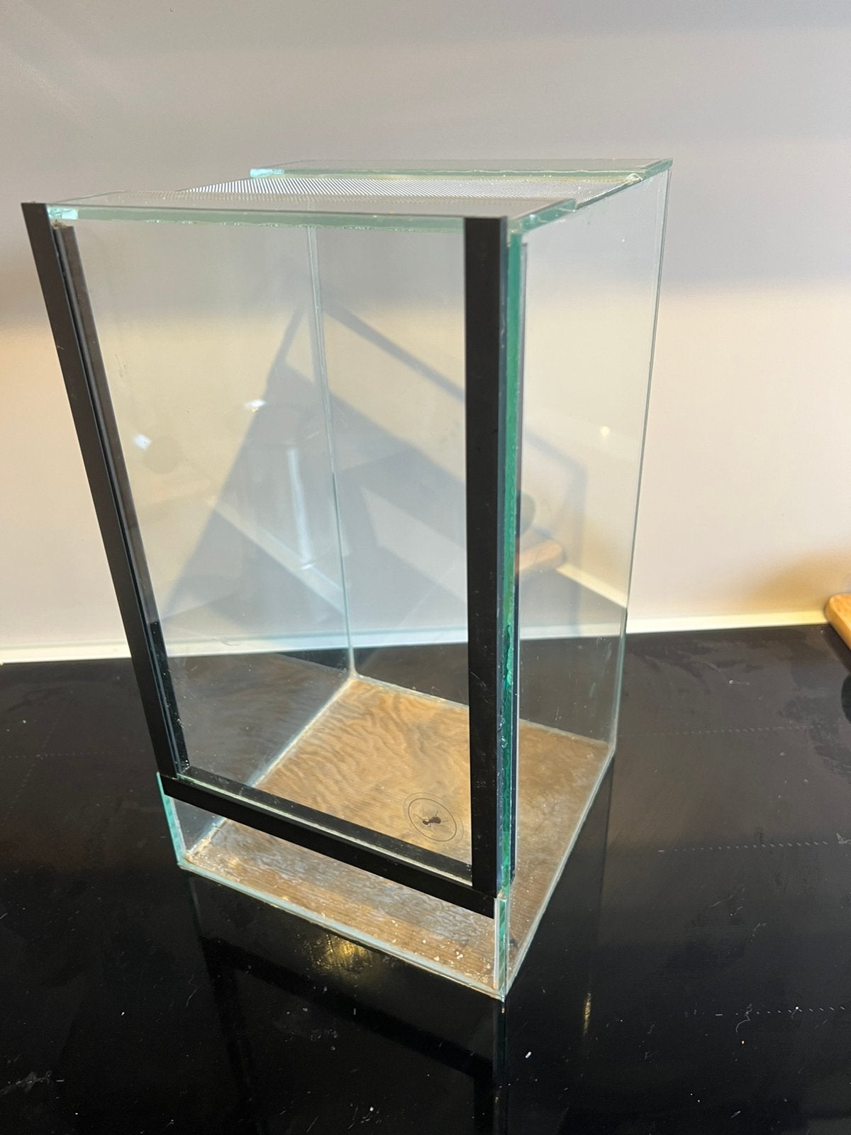 Klein terrarium 20x20x35 cm voor wandelende tak/insect, Wandelende tak