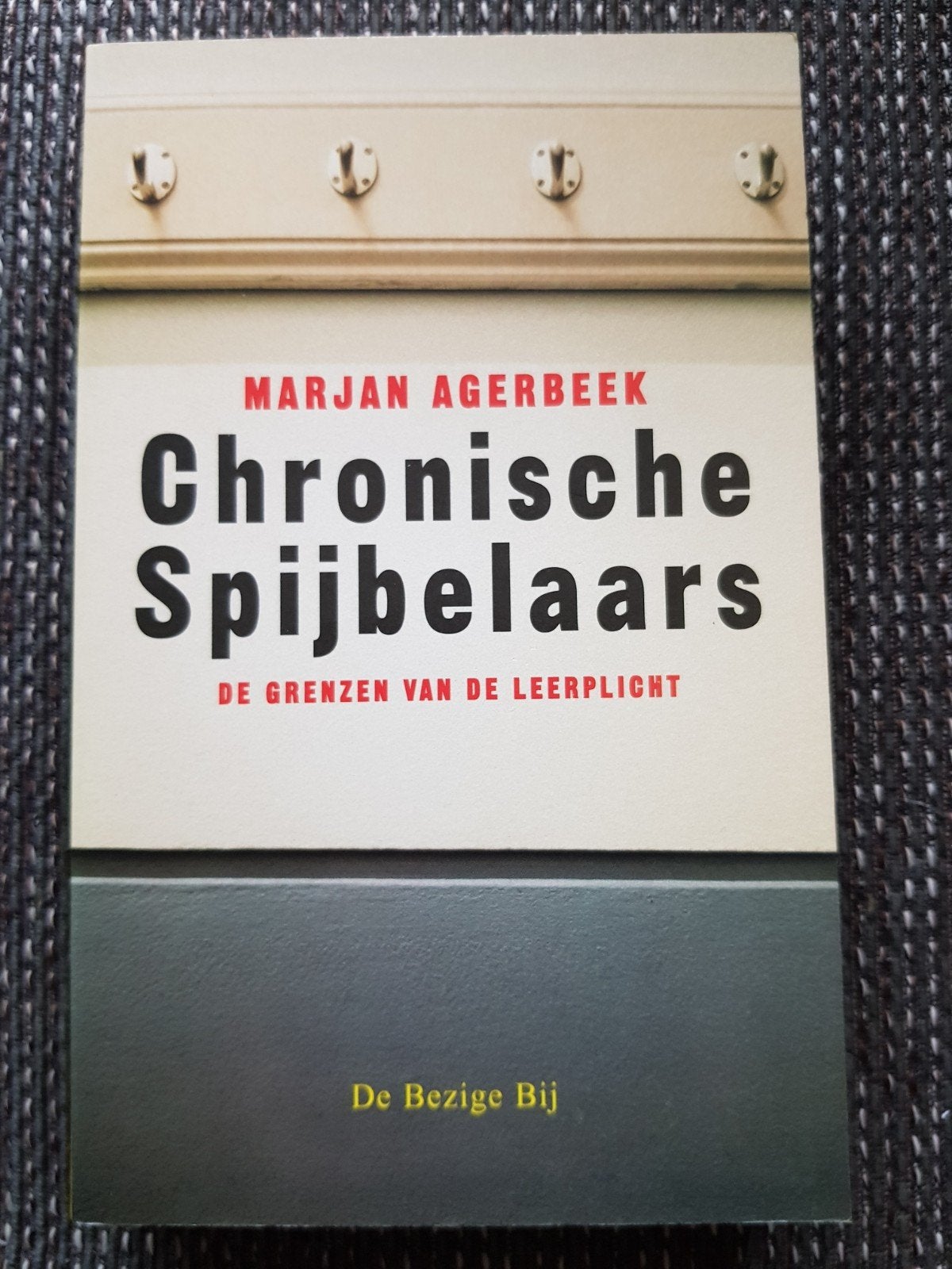 Marjan agerbeek - chronische spijbelaars nieuw exemplaar, Ophalen of Verzenden, Nieuw, Maatschappij en Samenleving, Marjan agerbeek