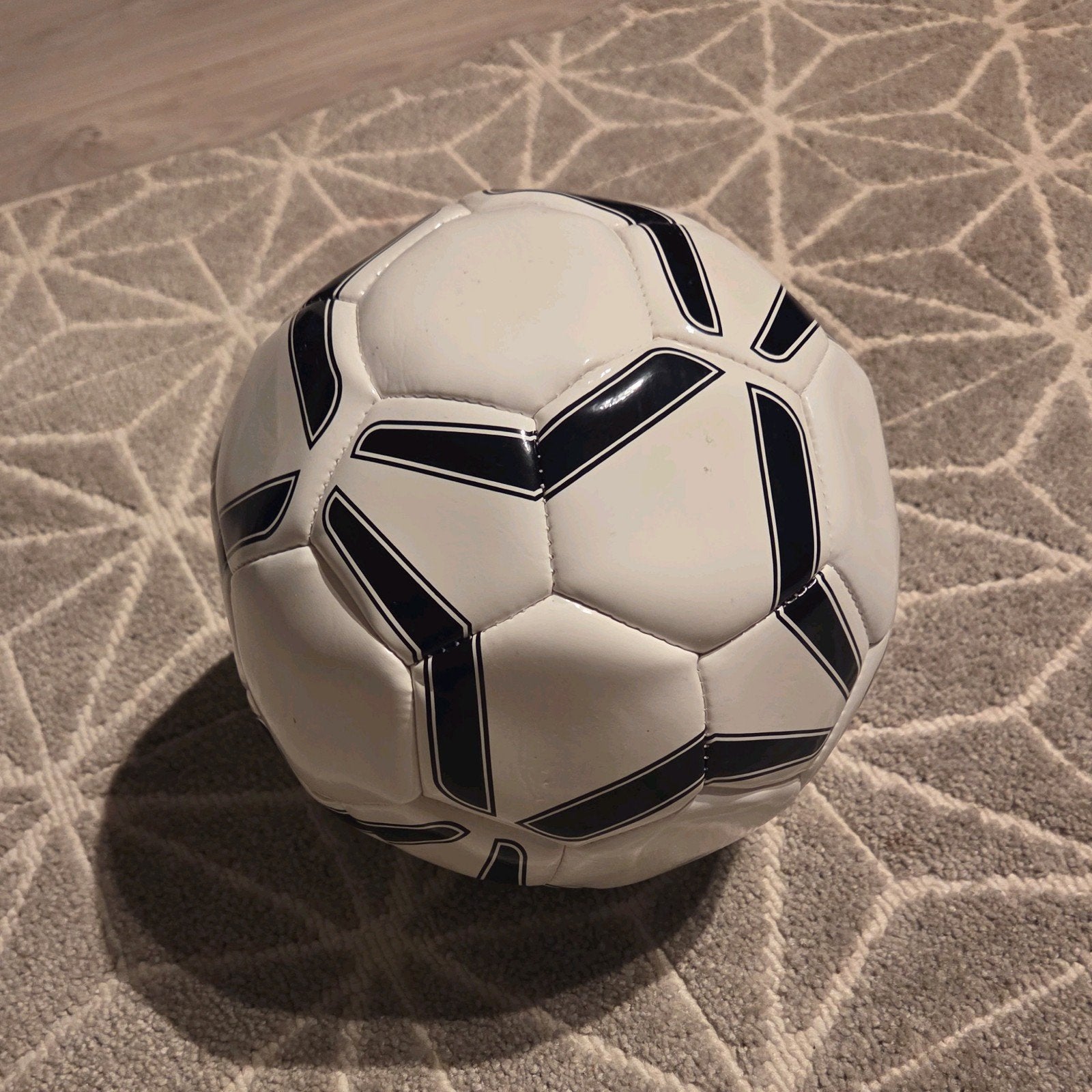 Voetbal - Wit met Zwarte Details, Ophalen, Zo goed als nieuw, Bal