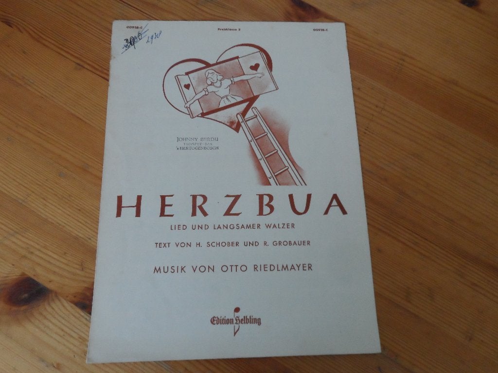 Herzbua - riedlmayer / schober / grobauer, Gebruikt, Artiest of Componist, Populair, Ophalen of Verzenden