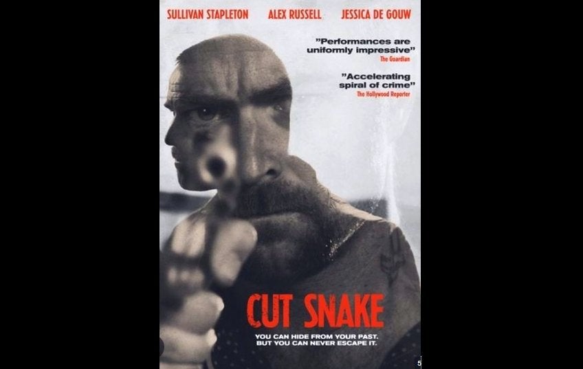 Cut Snake, Vanaf 16 jaar, Ophalen of Verzenden, Zo goed als nieuw, Actiethriller