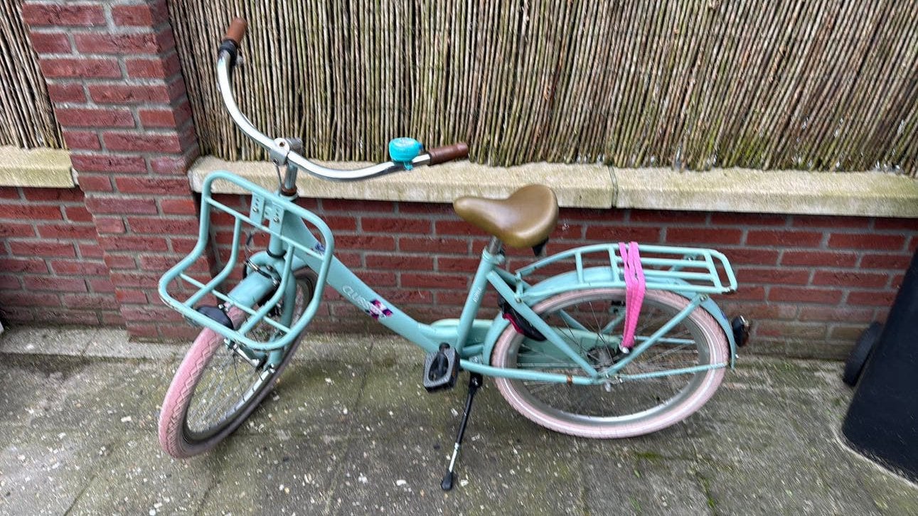 Meisjesfiets Alpina clubb 22 inch, Fietsen en Brommers, Ophalen, Gebruikt, 22 inch