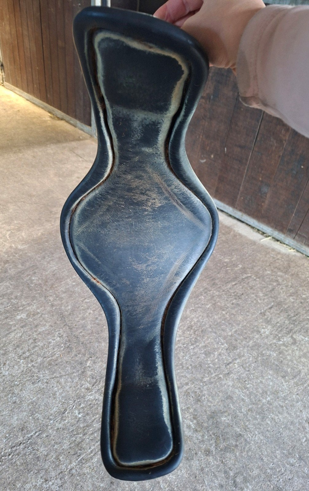 Van Rijs singel 65cm, Dieren en Toebehoren, Ophalen of Verzenden, Singel