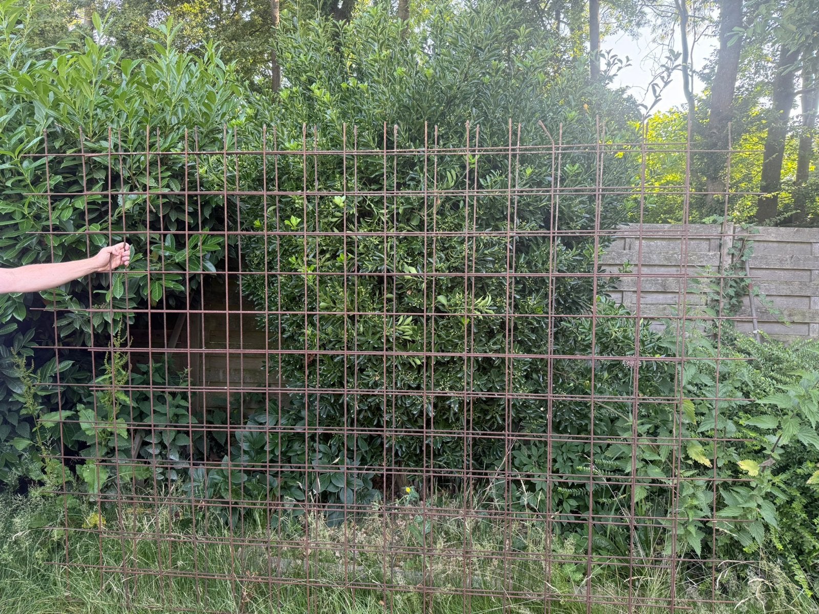 Wapening (bouwstaalmat) voor diverse bouwprojecten 6mm, Doe-het-zelf en Verbouw, Ophalen of Verzenden, Gebruikt, 250 mm of meer