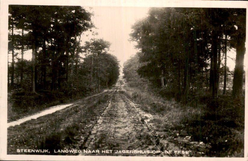Steenwijk - Landweg naar het Jagershuis de Eese, Verzamelen, Ophalen of Verzenden, 1920 tot 1940, Gelopen, Overijssel