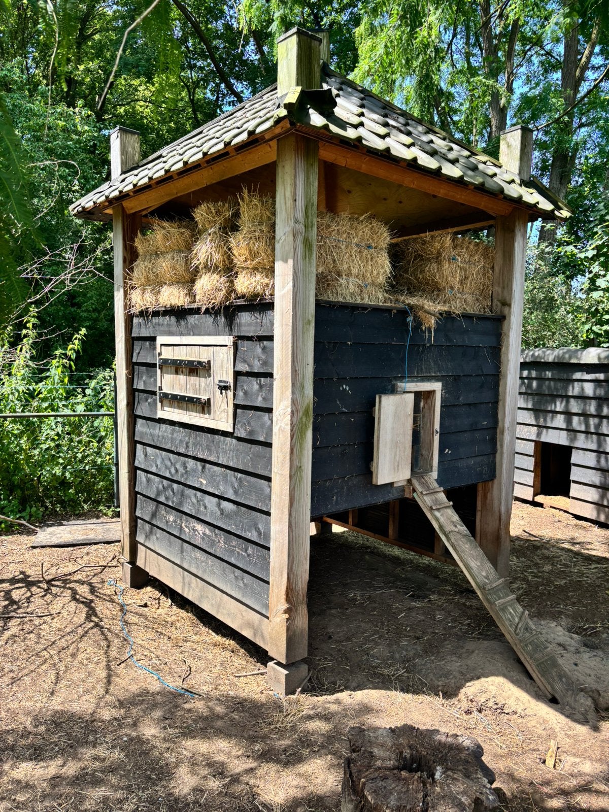 Compete dierenweide te koop, Ophalen of Verzenden, Zo goed als nieuw, Drinken en Voederen