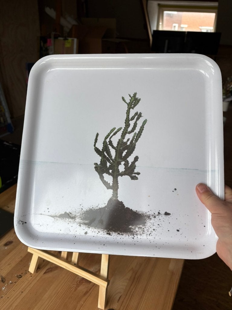 Ikea Stunsig dienblad, wit, met fotoprint cactus, Ophalen of Verzenden, Gebruikt, Vierkant, Overige materialen