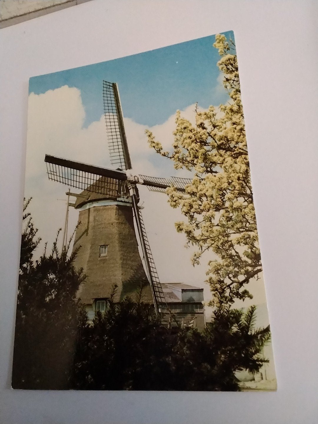 Ansichtkaart Oene Molen Werklust (1858), Ophalen of Verzenden, 1960 tot 1980, Ongelopen, Gelderland
