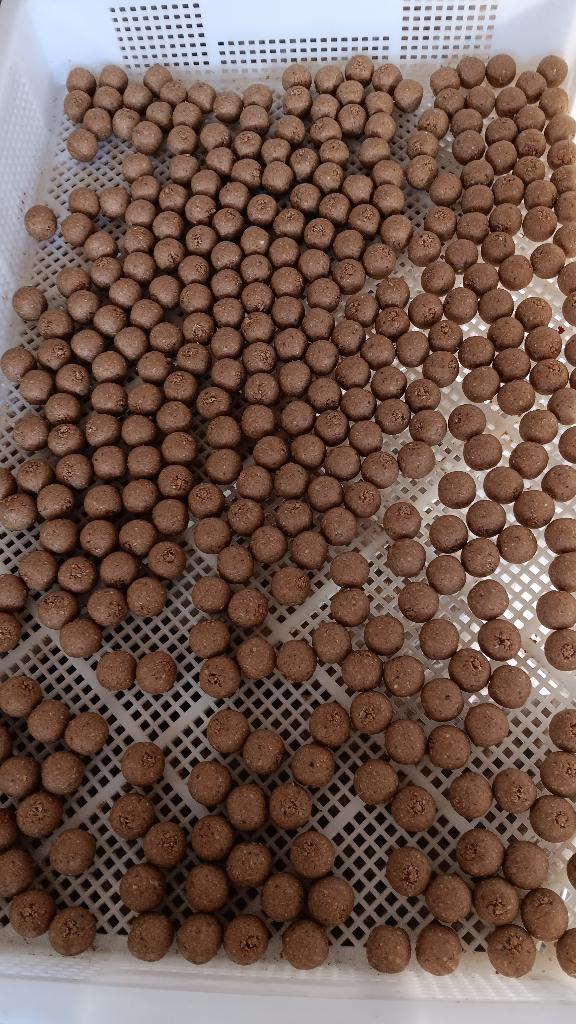 speculaas pinda premium boilies, Watersport en Boten, Ophalen of Verzenden, Nieuw, Overige typen