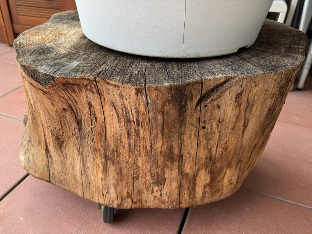 Unieke massieve boomstamtafel, bijzettafel op zwenkwielen, Ophalen, Minder dan 45 cm, Minder dan 55 cm, Gebruikt